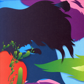 Lo Editions: Camera Obscura