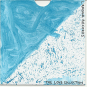 The Love Collection