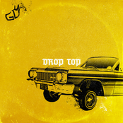 Great Dane: Drop Top