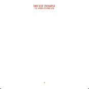 Did You Imagine (feat. John Floreani) - Single