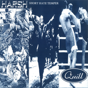 Short Hate Temper/Harsh/Quill Split 10 "