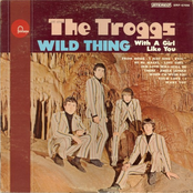 The Troggs: Wild Thing