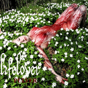 Lifelover – Pulver