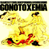 gonotoxemia