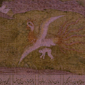 Passerine Deva