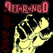 ottorongo