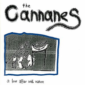 Cardboard by The Cannanes