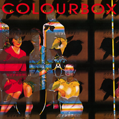 Colourbox Album Picture