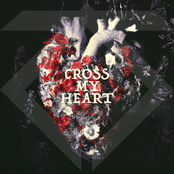 Trailer Swift: Cross My Heart - Single
