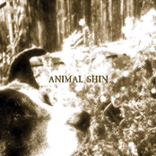 Time Will Tell - Single