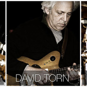 tony levin, david torn, alan white