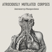 Anereocervyx Mucopurulence