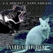 Ambient/Dark Ambient (Innocent Species)