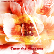 Enter the Shadows