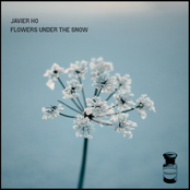 Flowers Under The Snow