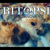 Bitopsi
