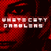 Comfortable Egg Sessions