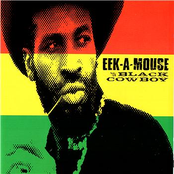 Eek·a·mouse