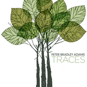 Family Name by Peter Bradley Adams