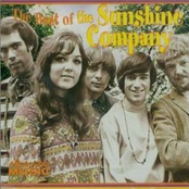 I Hate Pigeons by The Sunshine Company