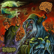 Sabbath Of The Undead by Acid Witch