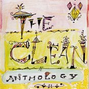 The Clean - Anthology Artwork