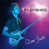 Dave Fields: Unleashed