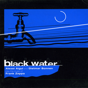 Black water [Alexei Aigui and Dietmar Bonnen play the music of Frank Zappa]