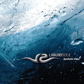 The Source by Liquid Soul