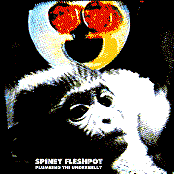 Plumbing the Underbelly