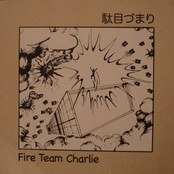 Damezumari/Fire Team Charlie-Split