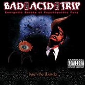 Constructing Love by Bad Acid Trip