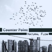 Natural Flow by Counter Point