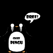 Chief Pingu