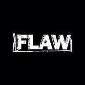 Fall Into This by Flaw