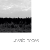 unsaid hopes