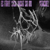 Es fühlt sich nicht so an / Stachel