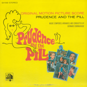 Prudence and the Pill
