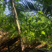 You Can't Find It Yet