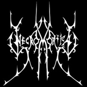 Necromortica