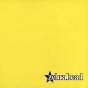 zebrahead