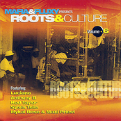 Roots And Culture Vol. 6