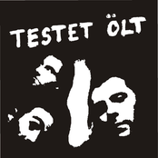 Testet ölt