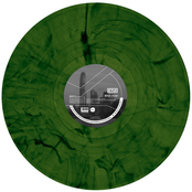 Birds Over Hong Kong