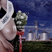 Ligabue: Miss Mondo