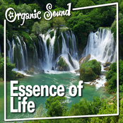 Essence of Life (Nature Sound)
