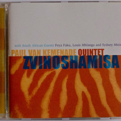 Zvinoshamisa