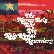 One Will Do For Now by The Holy Modal Rounders