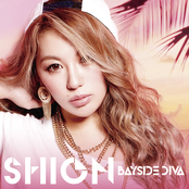 BAYSIDE DIVA
