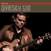 Søren Lee Diversity Trio